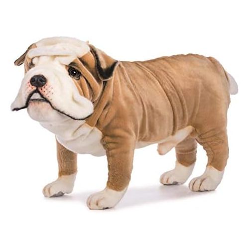  Hansa British Bulldog Collectible Plush, TanWhite, 30