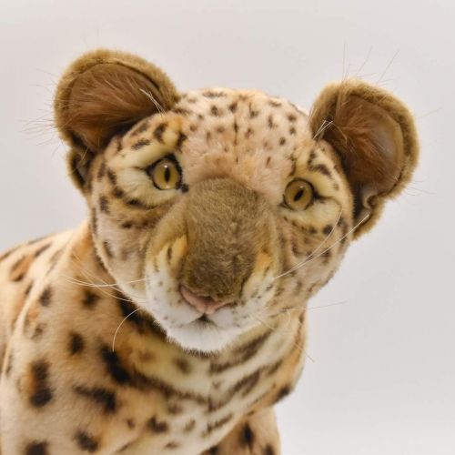  Hansa Leopard Cub Collectible Plush, Brown, 17