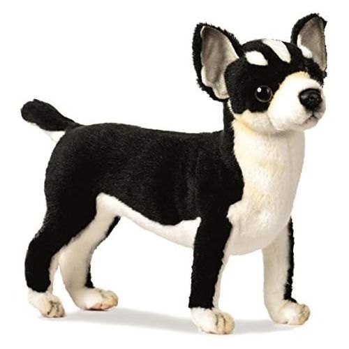  Hansa Chihuahua Plush, BlackWhite