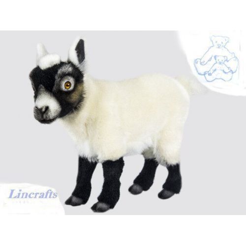  Hansa Toy International Cream and Black Goat Plush Soft Toy by Hansa. Sold by Lincrafts. 7021