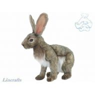 Hansa Toy International Sitting Jack Rabbit  Hare Plush Soft Toy by Hansa. Sold by Lincrafts. 5304