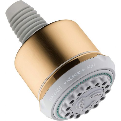  Hansgrohe 28496001 Clubmaster Shower Head, Chrome