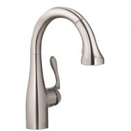 Hansgrohe HG Allegro E Gourmet Prep Faucet