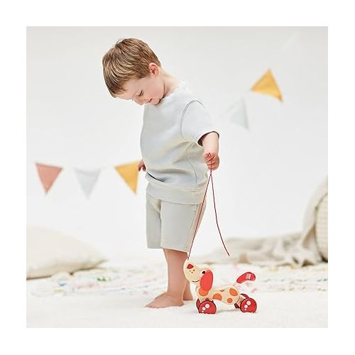  Walk-A-Long Puppy Wooden Pull Toy by Hape | Award Winning Push Pull Toy Puppy For Toddlers Can Sit, Stand and Roll. Rubber Rimmed Wheels for Easy Push and Pull Action, Red , Red/Orange