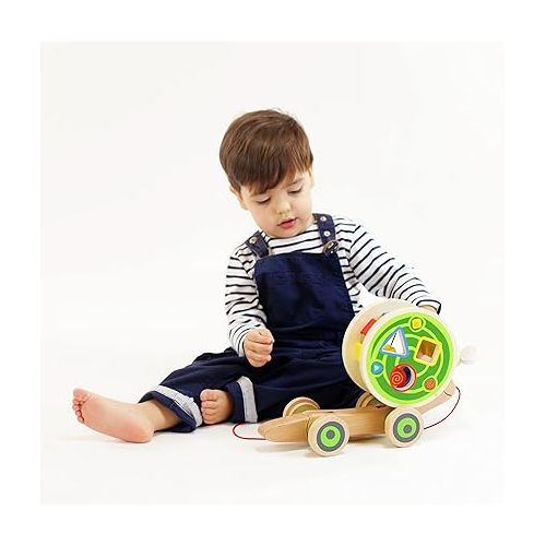  Award Winning Hape Walk-A-Long Snail Toddler Wooden Pull Toy, L: 11.9, W: 4.4, H: 7.3 inch