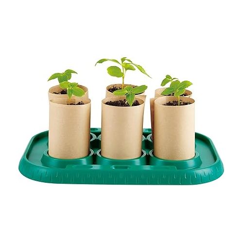  Hape Plant Growing Wooden Greenhouse Kits for Kids STEM Project Activity| Green Toys Gardening Science Gifts for Kids Ages 4Y+