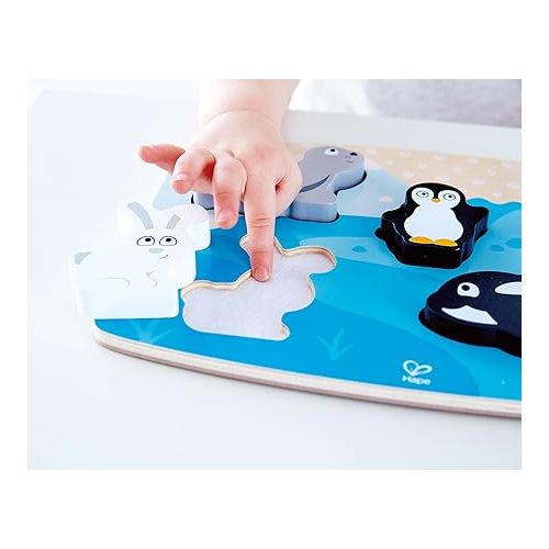  Hape Polar Animal Tactile Puzzle Game, Multicolor
