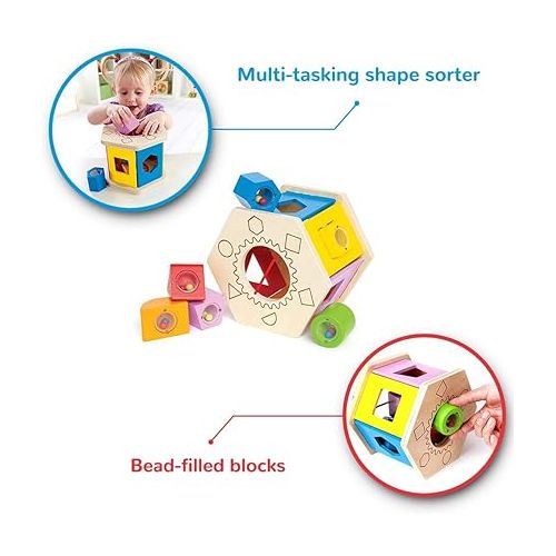  Hape Shake and Match Toddler Wooden Shape Sorter Toy Multicolor, L: 5.9, W: 4.8, H: 6.7 inch