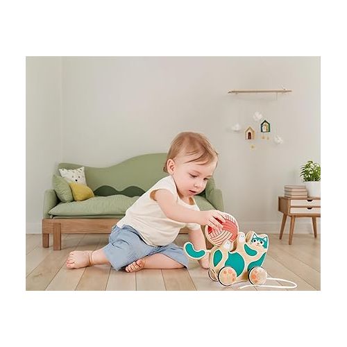  Hape Wooden Walk-A-Long Kitten Pull Toy| Roll & Rattle Push Pull Toy for Toddler| Montessori Toys for Walking Toddlers, Green