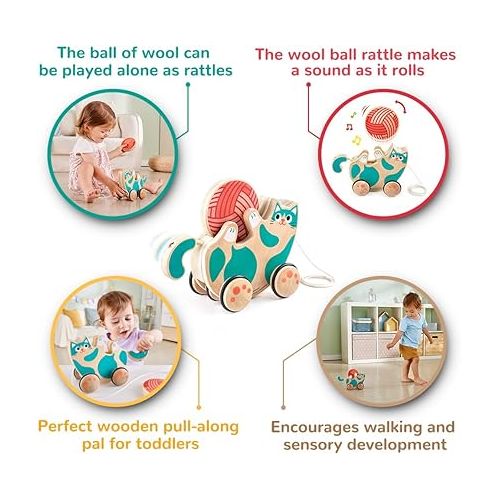  Hape Wooden Walk-A-Long Kitten Pull Toy| Roll & Rattle Push Pull Toy for Toddler| Montessori Toys for Walking Toddlers, Green