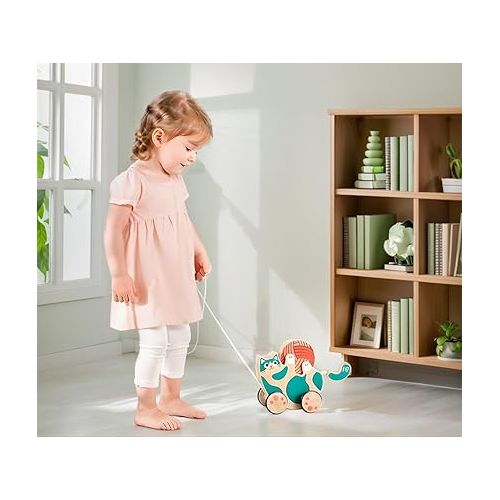  Hape Wooden Walk-A-Long Kitten Pull Toy| Roll & Rattle Push Pull Toy for Toddler| Montessori Toys for Walking Toddlers, Green