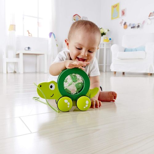  Hape Tito Pull Along | Wooden Turtle with Swirling Shell Pull Toddler Toy, Green