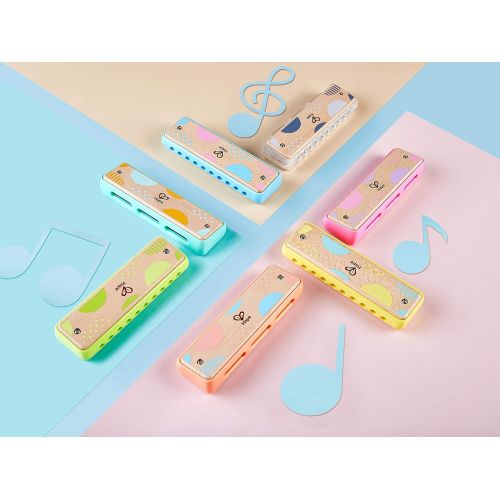  Hape Blues Harmonica 10 Hole Wooden Musical Instrument Toy for Kids, Blue-Green (E8916)