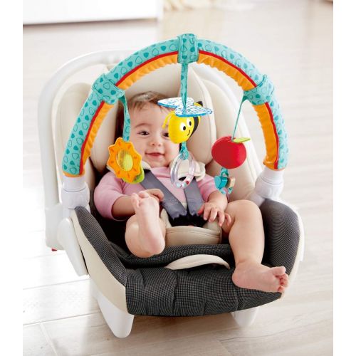  Hape Garden Friends Play Arch| Infant Crib Play Set Hanging Toys, Stroller and Car Seat Pram Toy Suitable for Children 0-5 Month Old