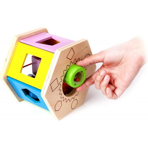  Hape Shake and Match Toddler Wooden Shape Sorter Toy