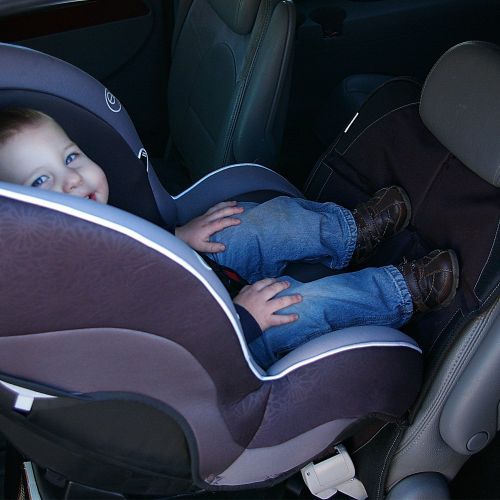  Happy Healthy Parent Child Car Seat Protector and Kick Mat Organizer (Single, Gray)