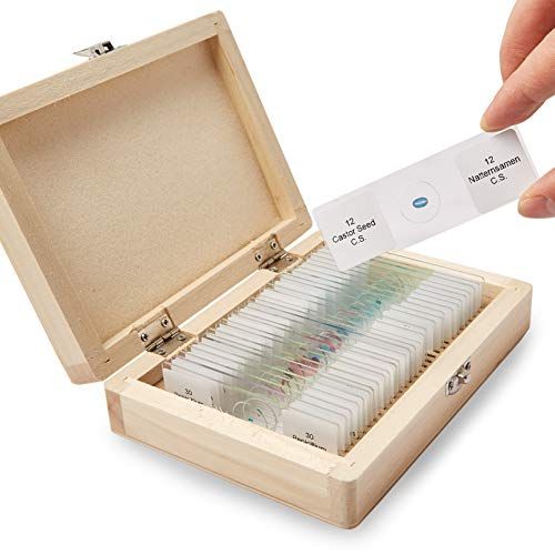  [아마존베스트]Happylife Microspie Zoology Permanent Preparations 30 Pieces Learning Experiment Set Permanent Preparations Slides in an Elegant Wooden Box