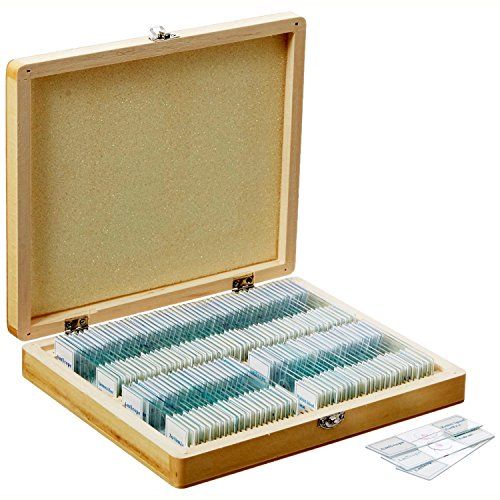  [아마존베스트]Happylife Microspie Zoology Permanent Preparations 30 Pieces Learning Experiment Set Permanent Preparations Slides in an Elegant Wooden Box