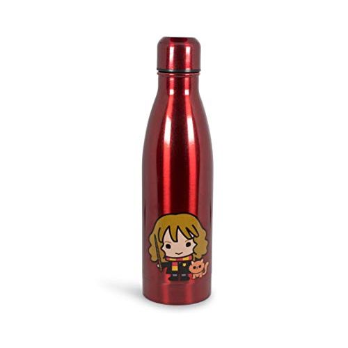  Harry Potter Hermione Aluminum Sleek Insulated 16 Ounce Water Bottle for Girls, Boys & Kids - Leakproof Lids & Sweat Proof Drinking Bottle - Great for Outdoor Sports, Hiking, Cycli