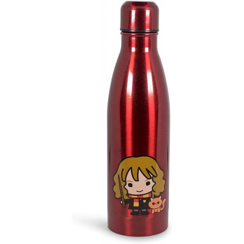  Harry Potter Hermione Aluminum Sleek Insulated 16 Ounce Water Bottle for Girls, Boys & Kids - Leakproof Lids & Sweat Proof Drinking Bottle - Great for Outdoor Sports, Hiking, Cycli