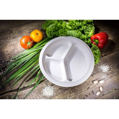  Harvest Pack [125 COUNT] 10 in Round Disposable Plates with 3 Compartments - Natural Sugarcane Bagasse Bamboo Fibers Sturdy Compostable Eco Friendly Environmental Paper Plate Alternative 100% b