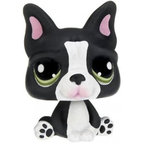 해즈브로 Hasbro Littlest Pet Shop Assortment A Series 4 Collectible Figure Bulldog (Special Edition Pet!)