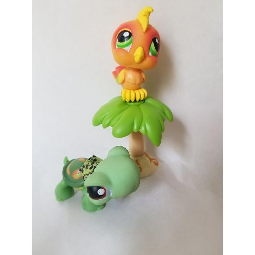 해즈브로 Hasbro Littlest Pet Shop Pet Pairs: Turtle & Toucan