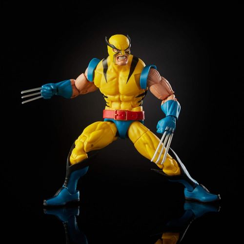 해즈브로 Hasbro Marvel Legends Wolverine and Hulk 6-Inch Action Figure 2-Pac Standard