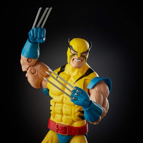 해즈브로 Hasbro Marvel Legends Wolverine and Hulk 6-Inch Action Figure 2-Pac Standard