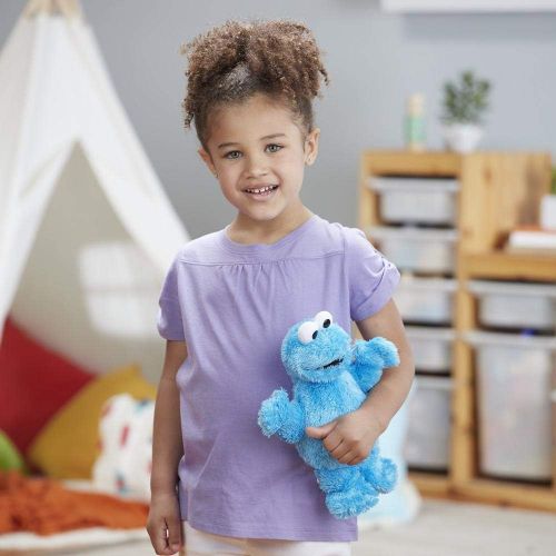 해즈브로 Hasbro Micro Plush Pal Cookie Monster Figure