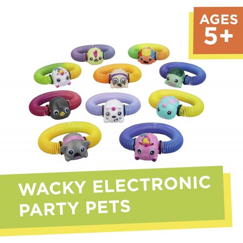 해즈브로 Hasbro Zoops Electronic Twisting Zooming Climbing Toy Twisty Turtle Pet Toy for Kids 5 & Up