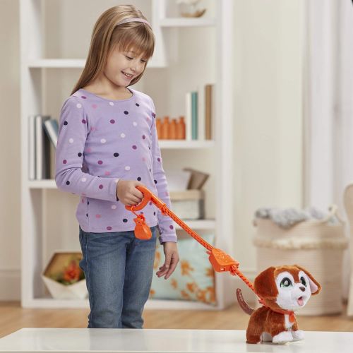 해즈브로 Hasbro Fur Real - Poopalots Big Wags Dog (E8945), Multicoloured, E89455X3