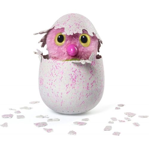  [아마존베스트]Hatchimal Glittering Garden Gleaming Burtle pink/green with CollEGGtible Blind Pack!