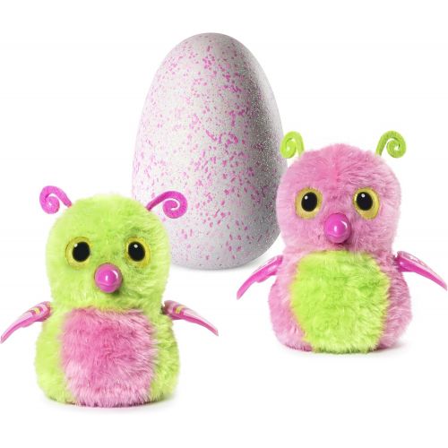  [아마존베스트]Hatchimal Glittering Garden Gleaming Burtle pink/green with CollEGGtible Blind Pack!