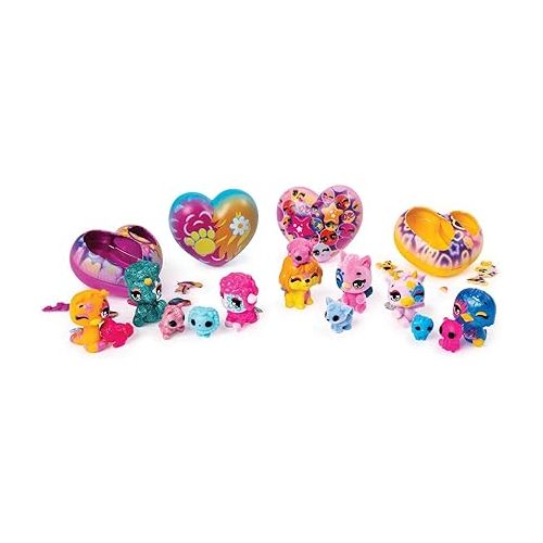  HATCHIMALS COLLEGGTIBLES - Pet Obsessed - Pet Shop Multi Pack New Hatchy Hearts! STYLES VARY