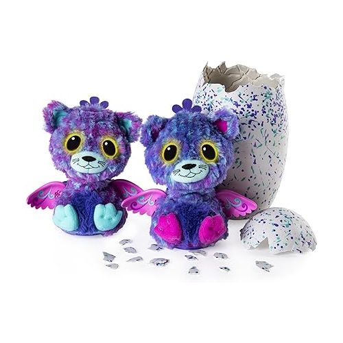  Hatchimals Surprise - Peacat - Hatching Egg with Surprise Twin Interactive Creatures by Spin Master, Ages 5 & Up