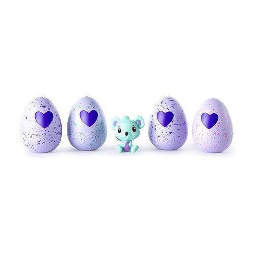  Hatchimals - CollEGGtibles - 4-Pack + Bonus (Styles & Colors May Vary) - Bundle of Two