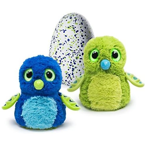  [아마존베스트]Hatchimals Draggle - Blue/Green Egg