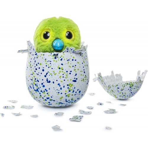  [아마존베스트]Hatchimals Draggle - Blue/Green Egg