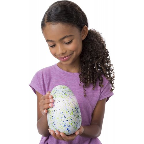  [아마존베스트]Hatchimals Draggle - Blue/Green Egg