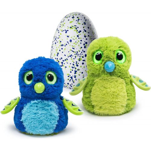  [아마존베스트]Hatchimals Draggle - Blue/Green Egg