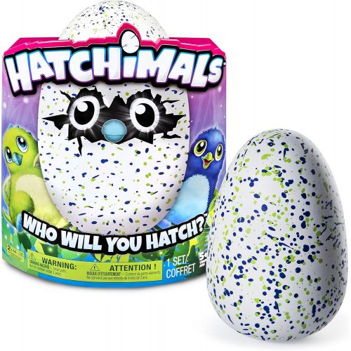  [아마존베스트]Hatchimals Draggle - Blue/Green Egg