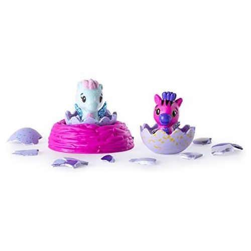  [아마존베스트]SpinMaster Hatchimals CollEGGtibles Season 1 2-Pack + Nest