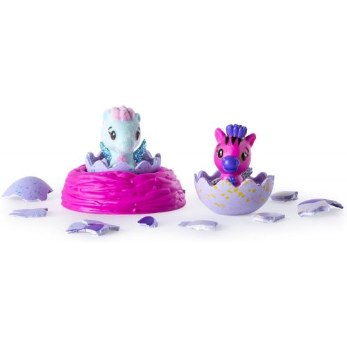  [아마존베스트]SpinMaster Hatchimals CollEGGtibles Season 1 2-Pack + Nest