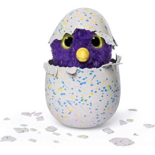  Hatchimals Glittering Garden - Hatching Egg - Interactive Creature  Shimmering Draggle by Spin Master