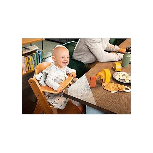  Hauck AlphaPlus Grow Along Adjustable Wooden High Chair Seat with 5 Point Harness and Bumper Bar for Babies 6 Months and Up, Beechwood, Natural