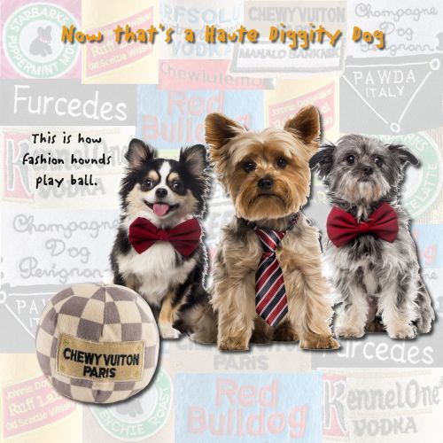  Haute Diggity Dog Fashion Hound Collection | Unique Squeaky Plush Dog Toys  Passion for Fashion (Accessories)!
