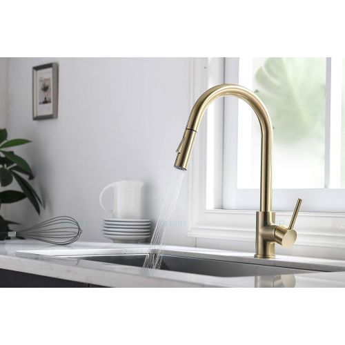  Havin HV601 Brass Kitchen Faucet with Pull Down Sprayer,Brushed Gold Color, Fit for 1 Hole and 3 Holes Deck Mount, Single Handle (Brushed Gold)