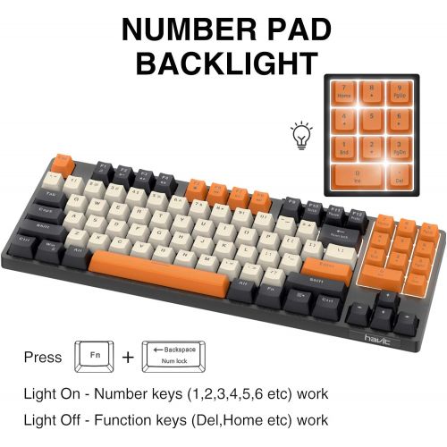  [아마존베스트]Havit Mechanical Keyboard Wired 89 Keys Gaming Keyboard Red Switch Keyboard with PBT Keycaps for PC Gamer Computer