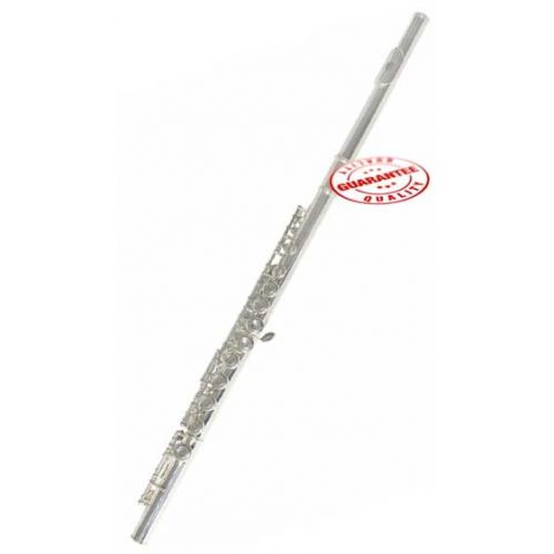  Hawk Silver Plated Closed Holed Student Flute with Case